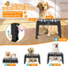 Elevated Dog Bowls, 4 Height Adjustable Raised Bowl Stand with 2 Thick 50oz Stainless Steel Food Bowls Non-Slip Feeder A