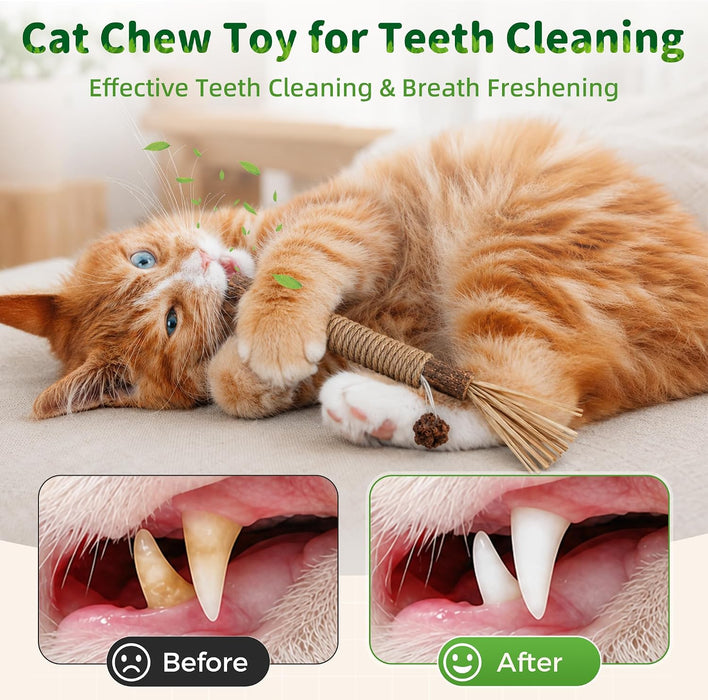 Silvervine Sticks Cat Kitten Chew Toys for Indoor Cats Teeth Cleaning