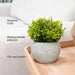 Large Fake Plants, Artificial Plants, Indoor Eucalyptus Plant