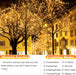 Solar Fairy Lights, 2-Pack Total 80FT 240LED Lights, Warm White
