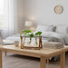Plant Terrarium with Wooden Stand, Air Planter Bulb Glass Vase Metal Swivel Holder Retro Tabletop for Hydroponics Home G