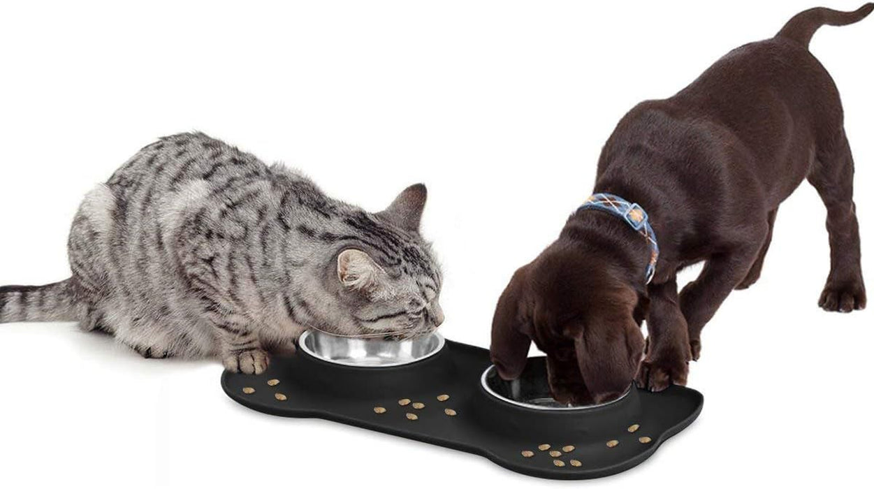 Dog Food Bowls Stainless Steel & Water Dish with No-Spill and Non-Skid, Feeder Bowls with Dog Food Dish for Small Medium