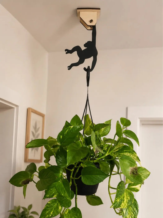 3-Pack Multipurpose Banana Hanger Hooks