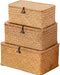 Wicker Storage Basket with Lid,Seagrass Shelf Basket Set of 3,Nautral