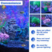 Aquarium Artificial Plants & Rock Cave Betta Fish Tank Decor Set