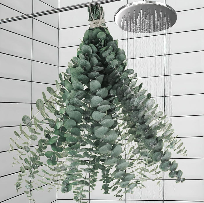 11 PCS Real Dried Eucalyptus Stem for Shower & Bathroom Decor