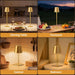 Gold Rechargeable Table Lamp, Cordless Battery Operated Lamp Set