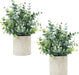 2 Pcs Small Fake Plants Eucalyptus, Artificial Plants Indoor for Shelf, Potted Eucalyptus Plants for Home/Bathroom/Potte