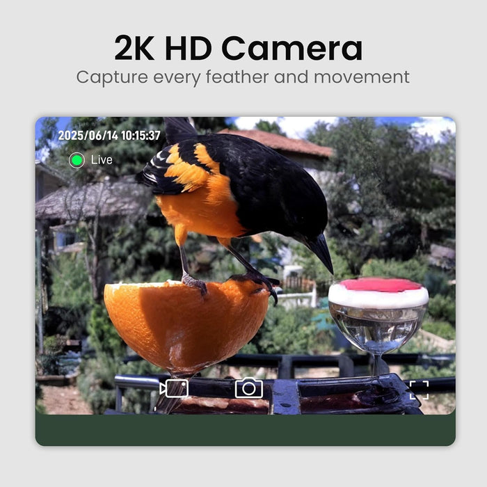 Smart Bird Feeder with Camera Solar Powered, 2K HD Video, AI Bird Species Identification, Instant Arrival Alerts, Weathe