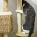 Indoor Cat Tower with Scratching Posts