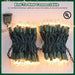 Christmas Lights 100 Count Clear Mini Lights Green Wire UL Certified Connectable Warm White String Lights for Christmas 