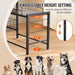 Pet Feeding Station with Storage