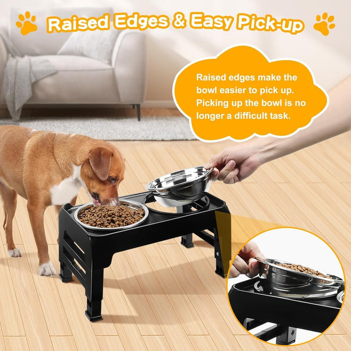 Elevated Dog Bowls for Small Medium Dogs, 3 Height Adjustable Raised Stand with 2 Thick 6" Stainless Steel Food Bowls, N