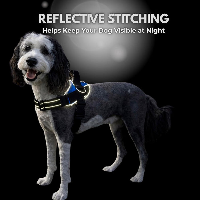 Essential Dog Harness, No-Pull Pet Vest (Oceanic Blue,S)