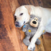 Wild Knots Bear, Knotted Rope Plush Toy, for Medium/Large Dogs