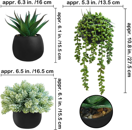 Set of 3 Artificial Succulent Plants in Black Concrete Pots Faux Aloe Hops String of Pearls Potted Plants Small Fake Pla