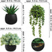 Set of 3 Artificial Succulent Plants in Black Concrete Pots Faux Aloe Hops String of Pearls Potted Plants Small Fake Pla