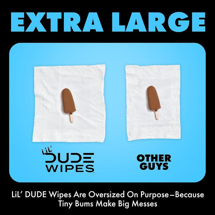 Flushable Potty Training Water Wipes, Unscented, 168 Count