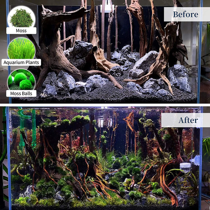 Natural Driftwood for Aquarium Decor Fish Tank Decor Reptile Decor