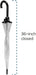 Scalloped Clear Dome Umbrella, Auto Open, See-Through