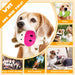 Dog Squeak Toys Puppy Toys, Tough Dog Toys for Aggressive Chewers