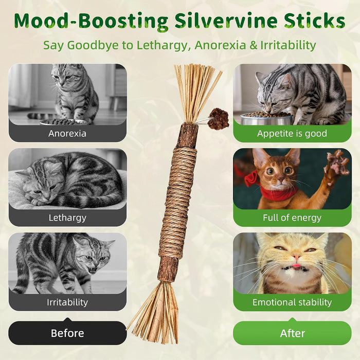 Silvervine Sticks Cat Kitten Chew Toys for Indoor Cats Teeth Cleaning
