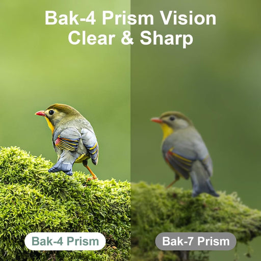 12X25 Mini Pocket Binoculars for Adults Kids, Small Compact Binoculars for Bird Watching, Opera Concert