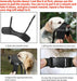 Dog Muzzle,Soft Nylon Muzzle Anti Biting Barking Chewing,Air Mesh Breathable Drinkable Adjustable Loop Pets Muzzle for Small Medium Large Dogs 4 Colors 4 Sizes (Black, L)