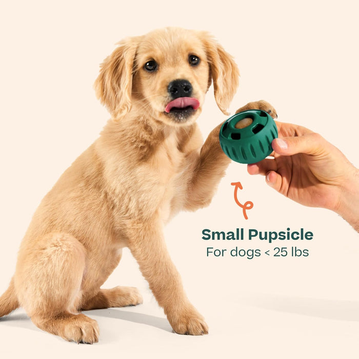 Pupsicle Interactive Dog Ball Toy for Dogs 25-75 lbs - Green