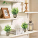 4 Pack Artificial Plants Indoor Fake Plants for Bathroom Decor