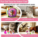 33Pcs Cat Toys Pack for Indoor Cats Kitten, with Cube Tunnel