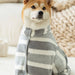 Quick-Drying Absorbent Dog Bathrobe