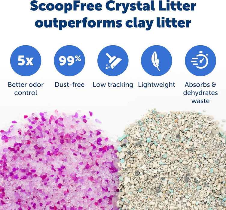 ScoopFree Disposable Crystal Litter Tray, Lavender Scent, 3 Pack