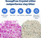 ScoopFree Disposable Crystal Litter Tray, Lavender Scent, 3 Pack