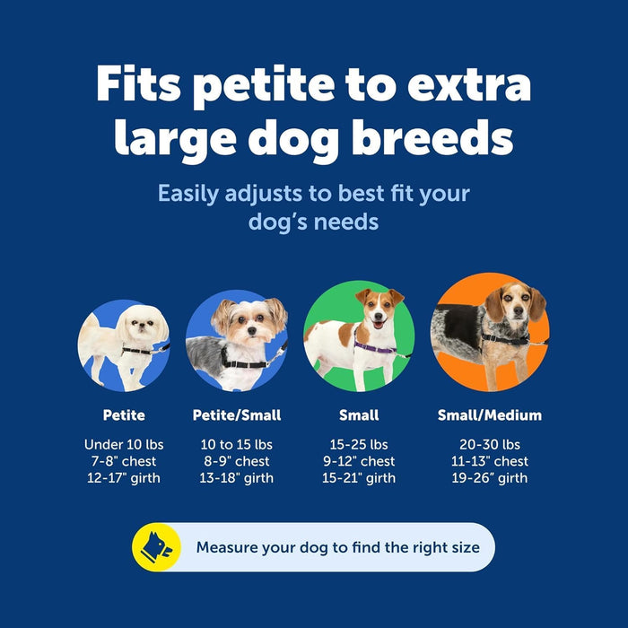 Easy Walk Harness, No Pull Dog Harness, Teal, Medium