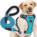 No Pull Dog Harness Adjustable Reflective Oxford Easy Control Medium Large Dog Harness with A Free Heavy Duty 5ft Dog Leash, Blue, L