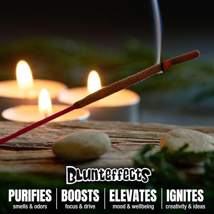 Hand-Dipped Incense Sticks 144-Pack, 12 Scents