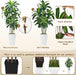 6FT Artificial Dracaena Tree with Tall White Planter, Floor Plant