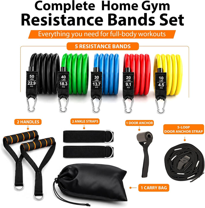 Resistance Bands Set with Handles and Door Anchor for Full Body Workout