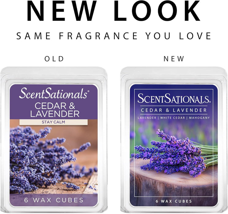 Cedar & Lavender Scented Wax Melts 10oz (24 Cubes)