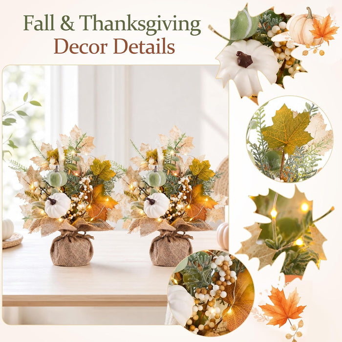 Fall Thanksgiving Table Decorations, Centerpieces for Tables, 2 Pack