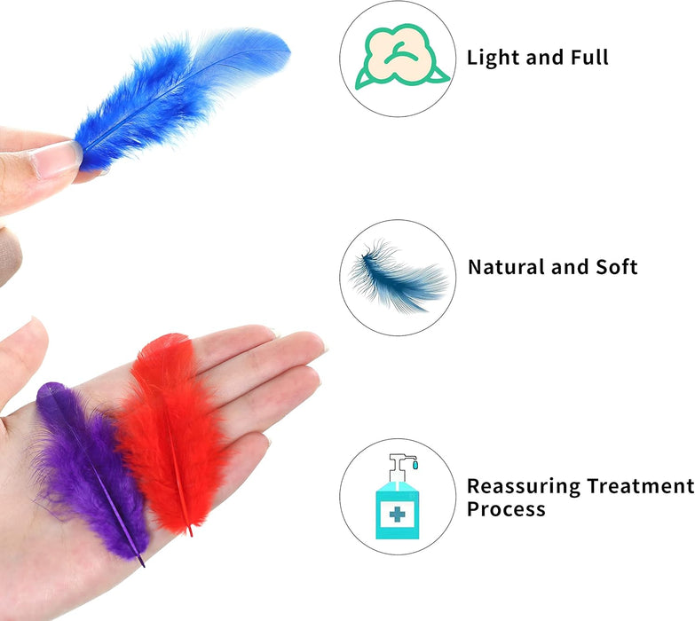 Colorful Craft Supplies Feathers Bulk for Crafting,300Pcs,3-5inch