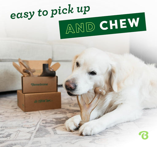 Medium 4-Pack Dog Toys for Aggressive Chewers – Under 60 lbs