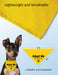 Adopt Me Foster Dog Bandana Scarf, Funny Adopt Me Bandanas for Dogs