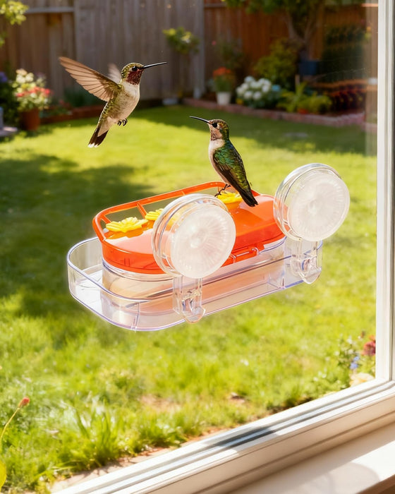 2 Pack Window Hummingbird Feeder