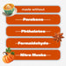 Jar Candle, Golden Pumpkin & Spice, 4.08oz., 3 Count