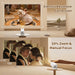 Mini Projector with 4K Support, Portable Short Throw Proyector