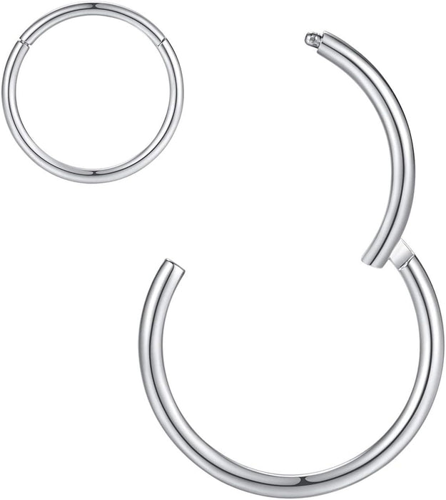 Hypoallergenic Nose Rings 20G 18G 16G 14G 12G 10G 8G 316l Surgical Steel Septum Jewelry Hinged Segment Ring Body Piercing Nose Hoop Lip Rings Nose Helix Cartilage Rook Earrings