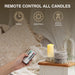 2PACK Outdoor Plastic flameless Candles with Remote Control and Timer