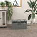 Elevated Dog Bowl Station with Storage